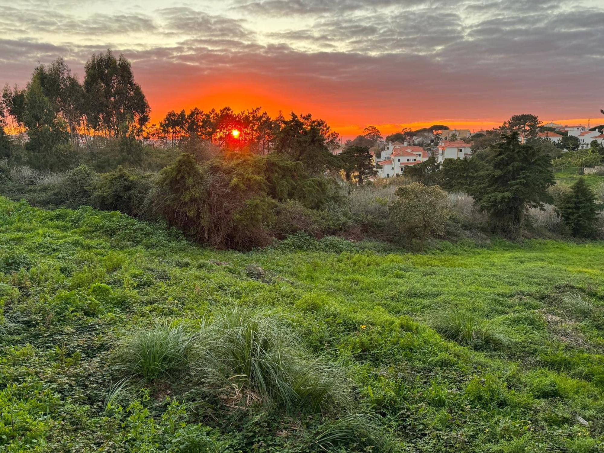 Boutique Hotel - O House Ericeira Hills Экстерьер фото